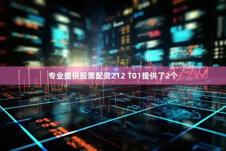 专业提供股票配资212 T01提供了2个