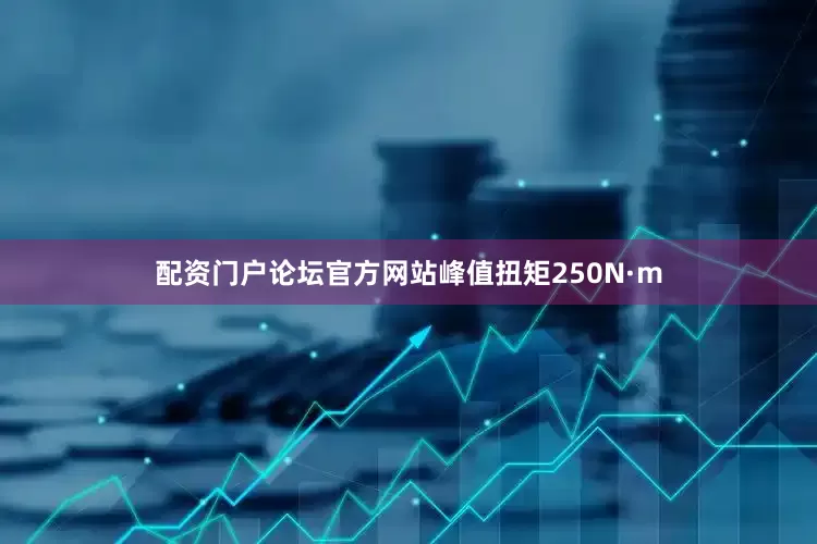 配资门户论坛官方网站峰值扭矩250N·m